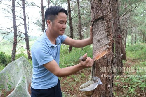 Thái Bình vững bước đi lên