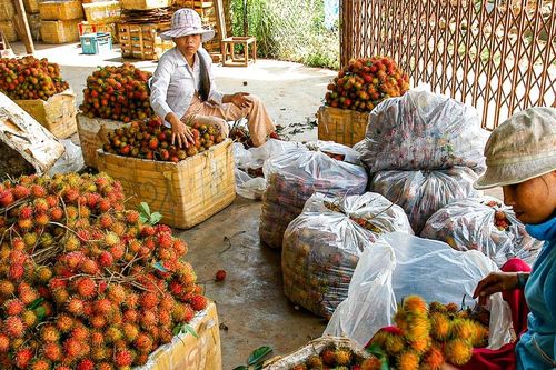 'Trái ngọt' ở Nam Thành