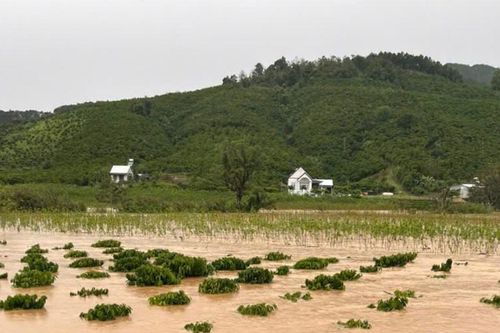 Lũ trên sông Cam Ly duy trì ở mức báo động III, biển Lâm Đồng xuất hiện gió mạnh, sóng lớn
