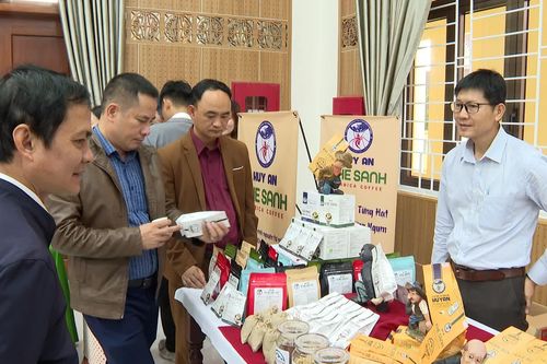 Hội nghị công bố và đón nhận văn bằng bảo hộ chỉ dẫn địa lý 'Khe Sanh' cho sản phẩm cà phê Khe Sanh