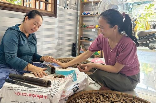 Khởi nghiệp sáng tạo