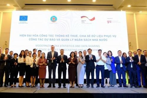 Xây dựng hệ thống thống kê thuế 'đủ -sạch- sống' theo kịp tốc độ phát triển nền kinh tế số
