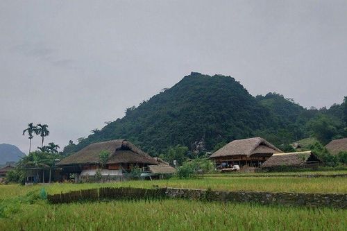Bản Tha