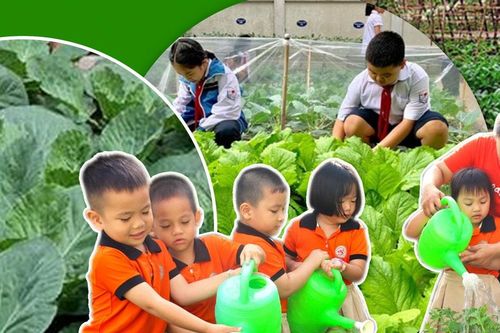 Vườn trường – Lớp học không mái che của tương lai