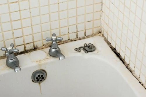 Những mẹo đơn giản giúp phòng tắm không bị mốc