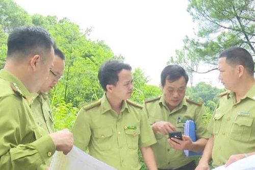 Quỹ Bảo vệ và Phát triển rừng thành phố Hà Nội: Đẩy nhanh chính sách chi trả dịch vụ môi trường rừng