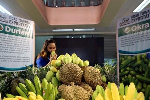 Mỹ bãi bỏ thuế đối ứng áp lên 1 tỷ USD hàng nông sản của Philippines