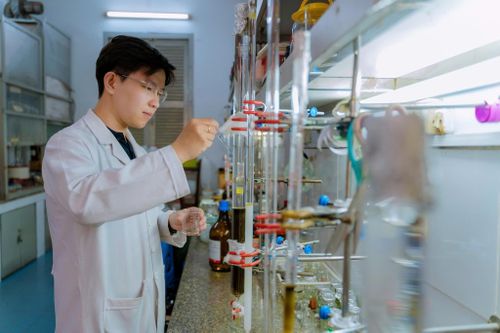 12 đại học Việt Nam vào bảng xếp hạng phát triển bền vững