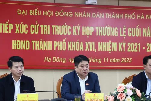 Tổ đại biểu số 10 HĐND Thành phố tiếp xúc cử tri trước kỳ họp cuối năm 2025