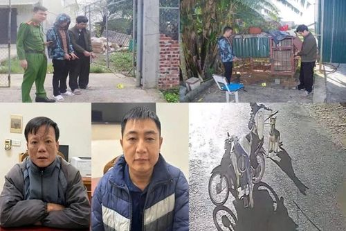 Truy bắt ổ nhóm trộm chó manh động trong đêm khuya