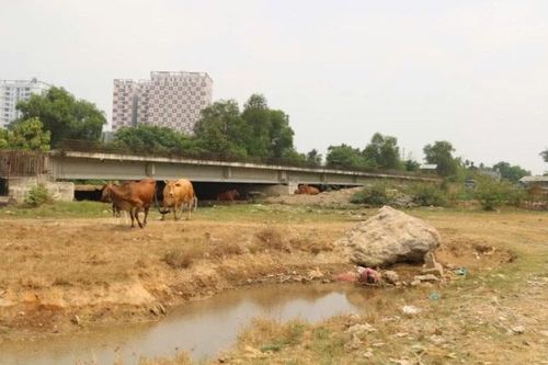 Thành phố Hồ Chí Minh cập nhật hướng tuyến Metro số 6 đi trên đường Vành đai 2
