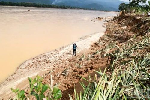 Hướng dẫn khôi phục sản xuất nông nghiệp sau mưa lũ tại Đà Nẵng