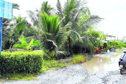 Con đường 'đau khổ' ở Cà Mau