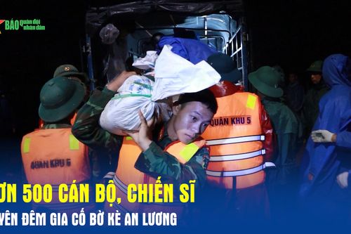 Hơn 500 cán bộ, chiến sĩ xuyên đêm gia cố bờ kè An Lương