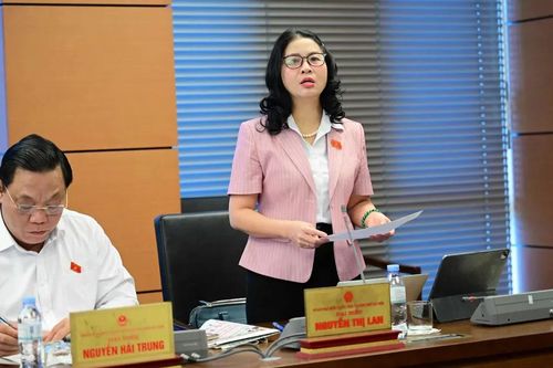 Nhiều đại biểu ủng hộ xây dựng Cảng hàng không quốc tế Gia Bình với tiêu chuẩn 5 sao