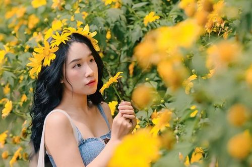 3 tọa độ 'săn' hoa dã quỳ lý tưởng cho du khách ở Đà Lạt