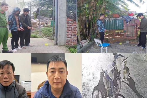Nhóm trộm chó dùng vỏ chai thủy tinh và ớt bột chống trả khi bị truy bắt
