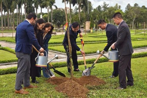 Colombia trao tặng 25 cây me tây cho thành phố Hà Nội