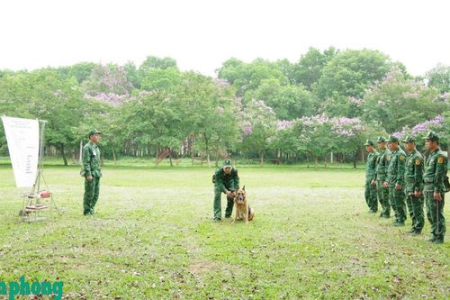 Những thầy giáo Biên phòng tận tâm trên giảng đường, nhiệt huyết trên thao trường