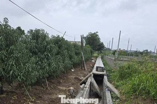 Hà Nội: Đề xuất nhiều lần không được, dân góp tiền, hiến đất làm mương tiêu, vừa xong thì bị yêu cầu đập bỏ