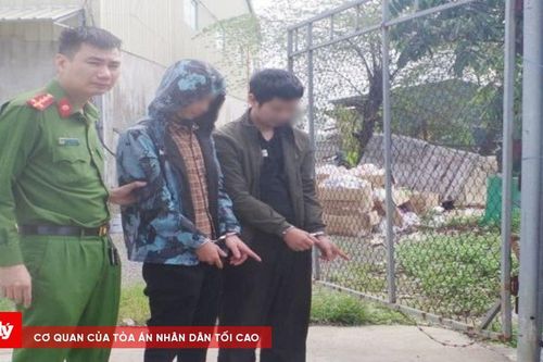 Thanh Hóa: Bắt nhóm trộm chó chuyên nghiệp