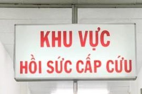 Ăn quá nhiều một loại quả đặc sản mùa thu, người phụ nữ phải nội soi cấp cứu