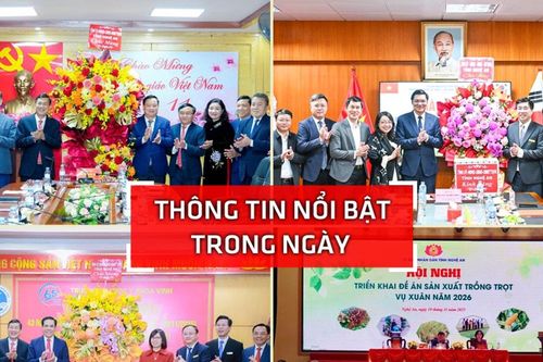 Nghệ An: Thông tin nổi bật ngày 19/11