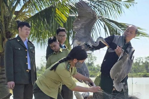 Đẩy mạnh phổ biến thực thi bảo tồn đa dạng sinh học, bảo vệ các loài hoang dã