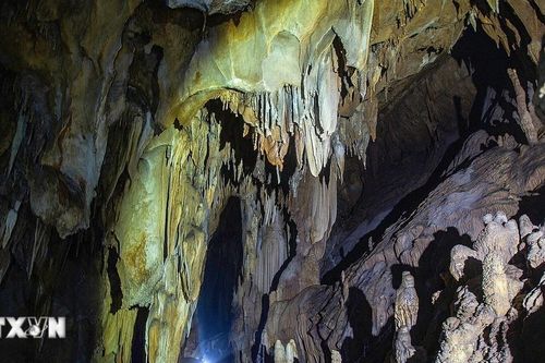 Vẻ đẹp hoang sơ của động Nam Sơn xứ Mường Phú Thọ
