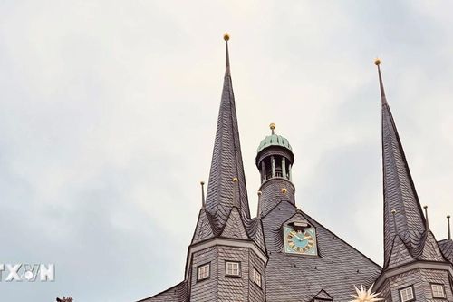 Thành phố Magdeburg mở lại chợ Giáng sinh sau vụ lao xe vào đám đông năm 2024