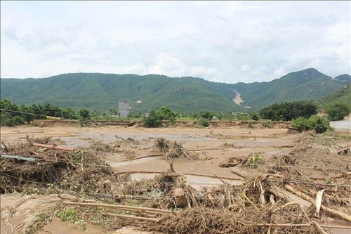 Công ty Trang trại Việt đã tháo cạn các hồ chứa nước trên núi Tân Lai