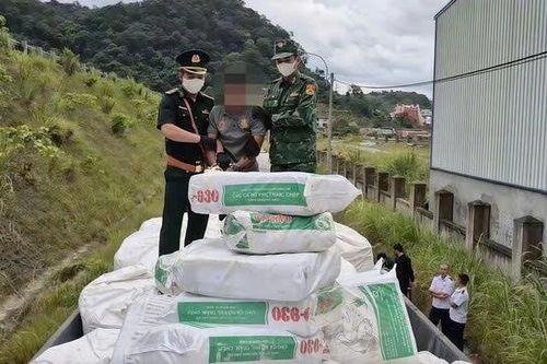 Đấu tranh đến cùng với tội phạm ma túy tại Quảng Trị