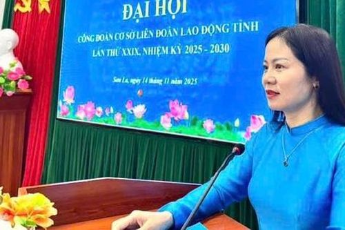 Sơn La: Tổ chức Công đoàn được củng cố toàn diện, hoạt động ngày càng đi vào chiều sâu