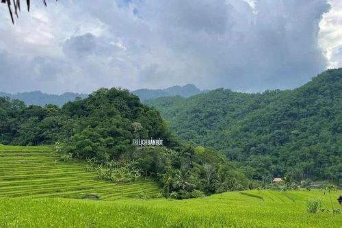 Phát triển kinh tế xanh gắn với nâng cao thu nhập của người dân