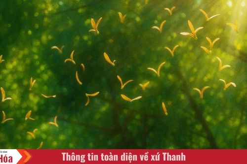 Bay về phía mặt trời
