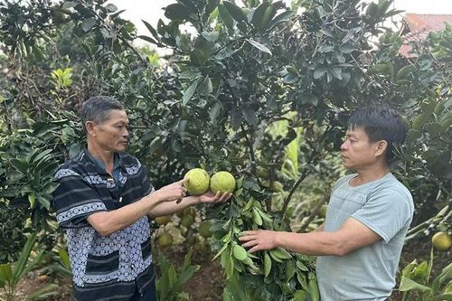Người có uy tín hết lòng vì công việc tập thể
