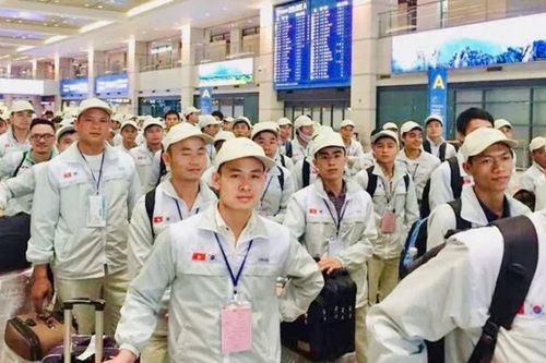 Chi tiết kế hoạch tuyển chọn lao động đi làm việc tại Hàn Quốc