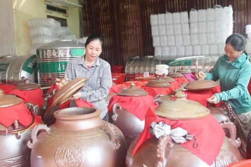 Nông dân Sơn Động năng động phát triển kinh tế, vươn lên thoát nghèo bền vững