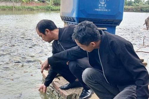 Bắc Ninh: Thúc đẩy tự động hóa trong nuôi thủy sản thâm canh