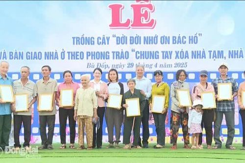 Niềm vui an cư