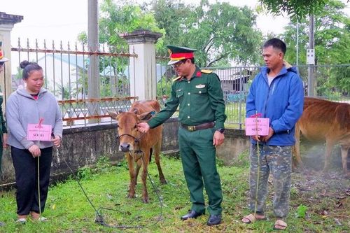 Trao sinh kế, giúp dân ổn định cuộc sống