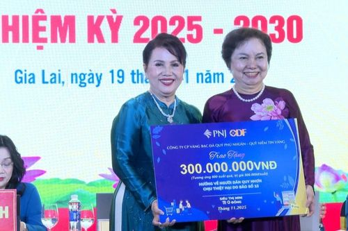 Bà Đồng Thị Ánh được bầu làm Chủ tịch Hội Nữ doanh nhân tỉnh Gia Lai