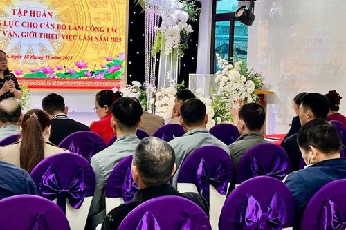 Tập huấn nâng cao năng lực cho cán bộ làm công tác tuyên truyền, tư vấn, giới thiệu việc làm