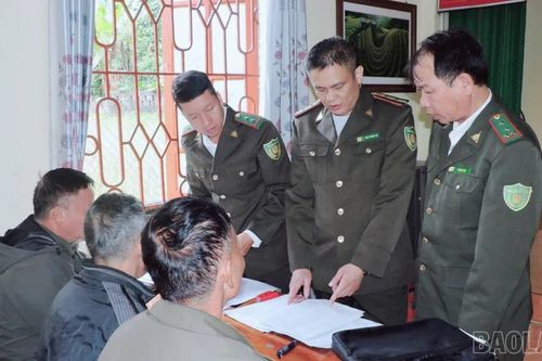 Triển khai thí điểm cấp, quản lý mã số vùng trồng rừng nguyên liệu tại xã Quy Mông