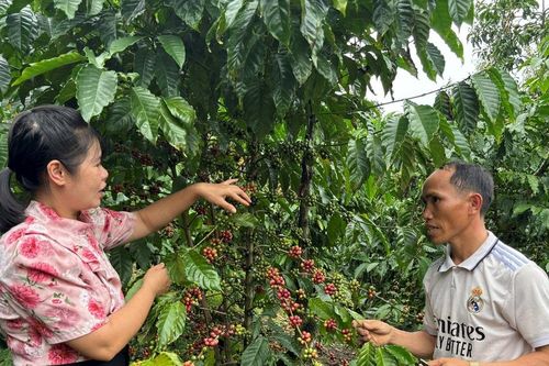 Ðồng bào thôn Ða Tế đoàn kết, hòa thuận vượt qua đói nghèo