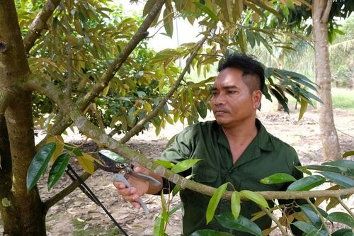 Sức sống mới trên vùng đất Cát Tiên 2