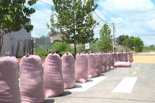 Hậu quả lớn từ hành vi phơi nông sản trên đường