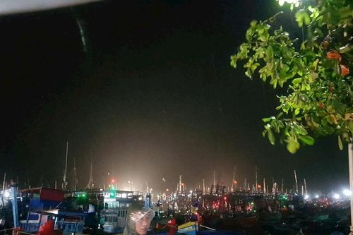 Vùng hạ lưu sông Lòng Sông chủ động ứng phó do mưa lớn