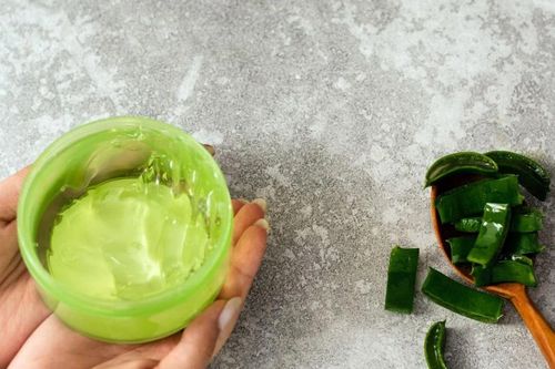 Tổng hợp 8+ cách sử dụng nha đam tươi để làm đẹp và nấu ăn
