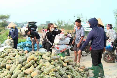 Tề Lỗ phát huy hiệu quả kinh tế từ cây bí đỏ vụ Đông